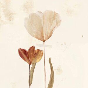 Meet your Posher, Lei